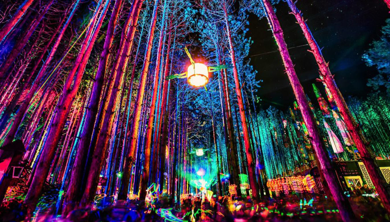 Big massive. Фестиваль Electric Forest. Electric Forest Festival 2022. Фестиваль в лесу. Электрический лес.