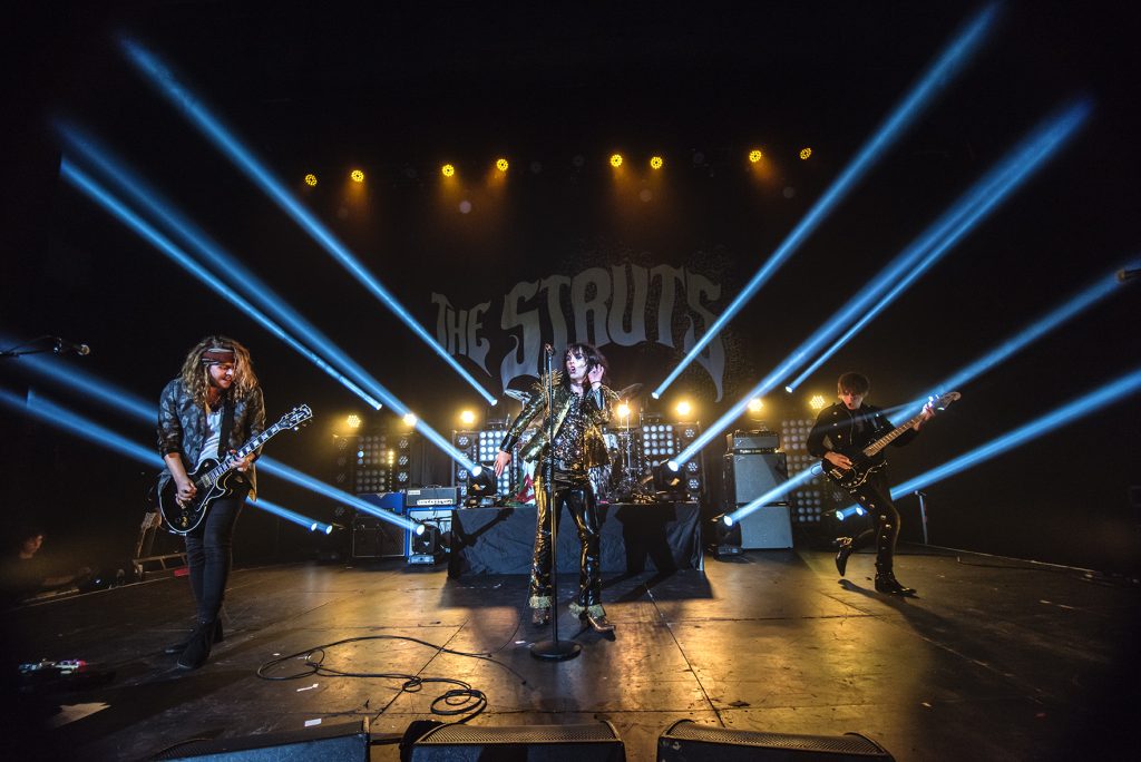 the struts