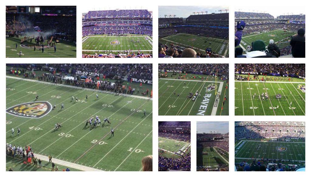 Baltimore Ravens Fans: What It Means to Be Apart of the Ravens