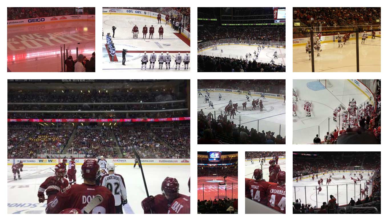 Arizona Coyotes Fans Howl Support for 