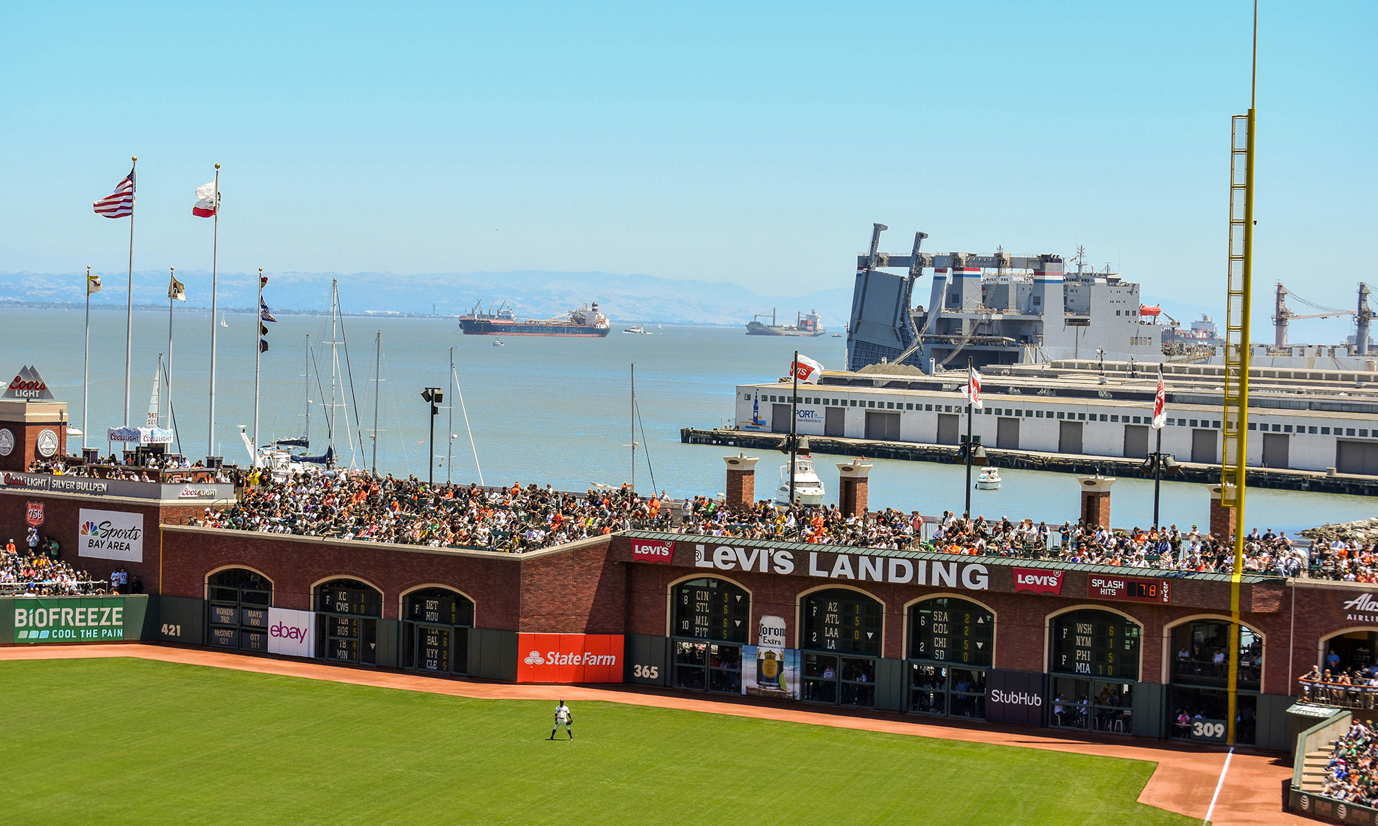 San Francisco Giants Fans A Deep Dive into Their Dedication